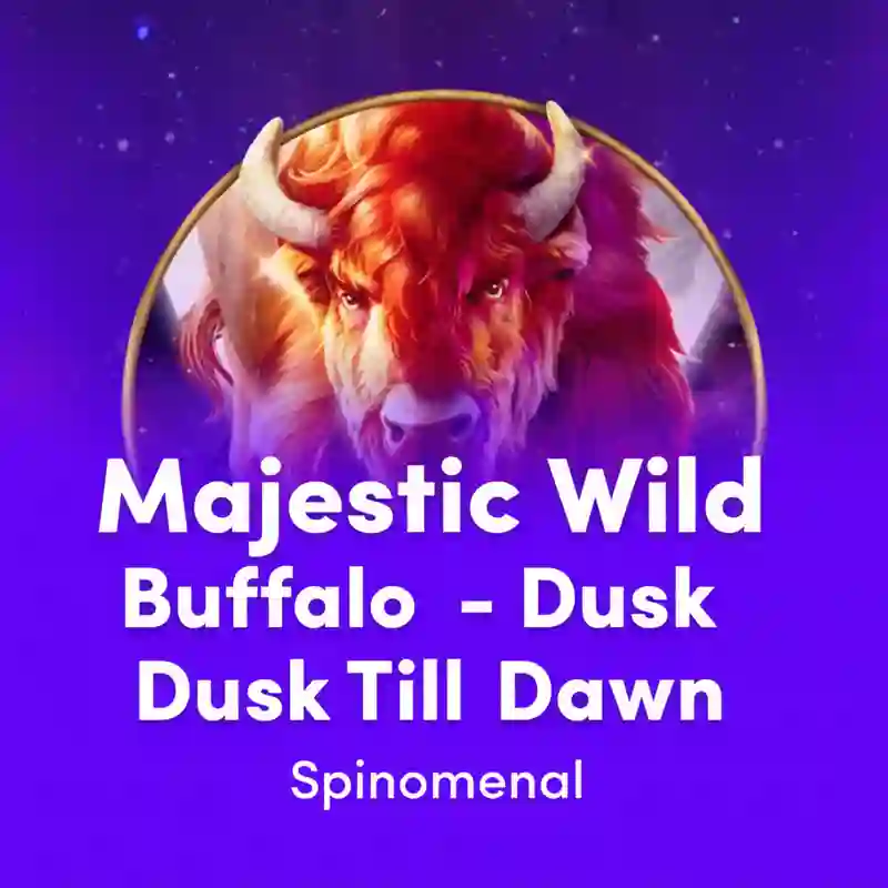 Majestic Wild Buffalo – Dusk Till Dawn